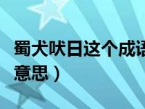 蜀犬吠日这个成语比喻什么（蜀犬吠日是什么意思）