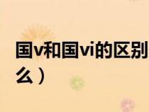 国v和国vi的区别影响（国v与国vi的区别是什么）