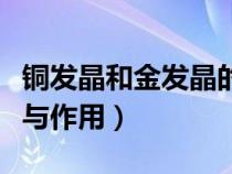 铜发晶和金发晶的功效与作用（金发晶的功效与作用）