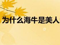 为什么海牛是美人鱼（海牛为什么叫美人鱼）