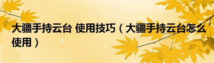 大疆手持云台 使用技巧（大疆手持云台怎么使用）