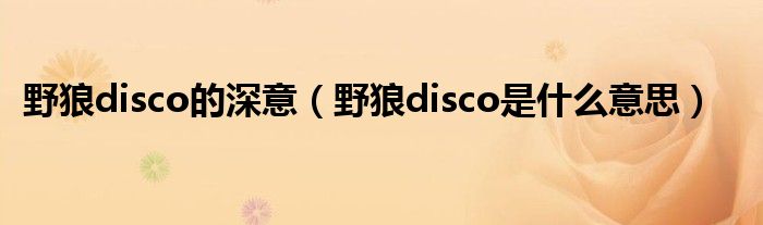 野狼disco的深意（野狼disco是什么意思）