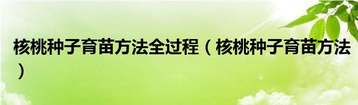 核桃种子育苗方法全过程（核桃种子育苗方法）