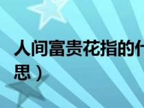 人间富贵花指的什么花（人间富贵花是什么意思）