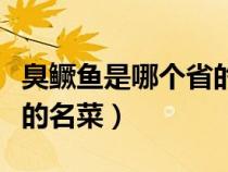 臭鳜鱼是哪个省的著名名菜（臭鳜鱼是什么省的名菜）