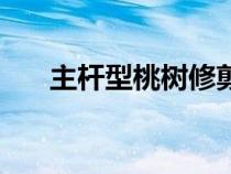 主杆型桃树修剪技术（桃树修剪技术）