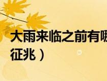大雨来临之前有哪些征兆（大雨来临前有哪些征兆）
