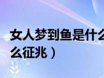 女人梦到鱼是什么征兆解梦（女人梦到鱼是什么征兆）