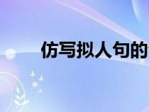 仿写拟人句的句子（拟人句的句子）