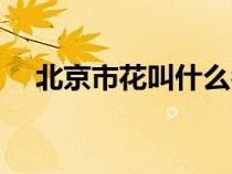 北京市花叫什么名字（北京市花是什么）