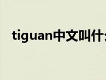 tiguan中文叫什么车（tiguanl是什么车）