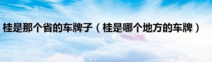 桂是那个省的车牌子（桂是哪个地方的车牌）