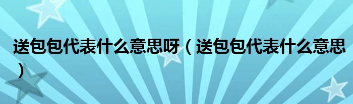 送包包代表什么意思呀（送包包代表什么意思）