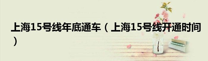 上海15号线年底通车（上海15号线开通时间）