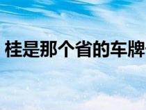 桂是那个省的车牌子（桂是哪个地方的车牌）
