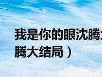 我是你的眼沈腾大结局44集（我是你的眼沈腾大结局）