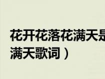 花开花落花满天是哪首歌的歌词（花开花落飞满天歌词）