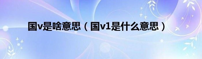 国v是啥意思（国v1是什么意思）