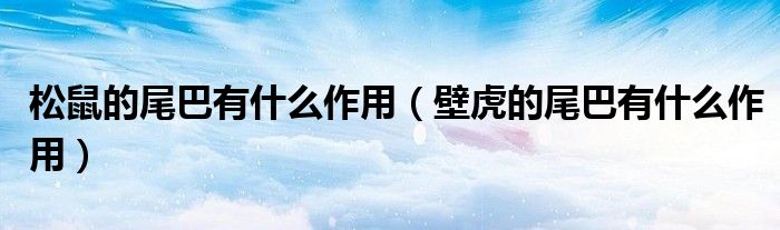松鼠的尾巴有什么作用（壁虎的尾巴有什么作用）