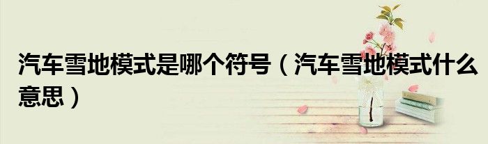汽车雪地模式是哪个符号（汽车雪地模式什么意思）