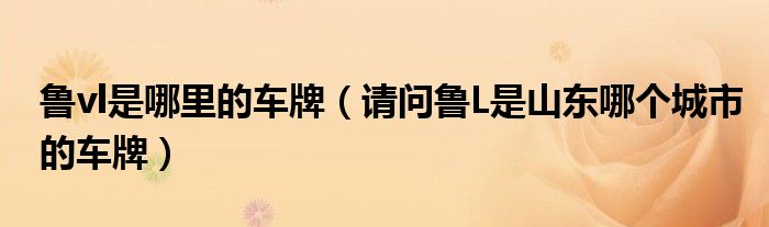 鲁vl是哪里的车牌（请问鲁L是山东哪个城市的车牌）
