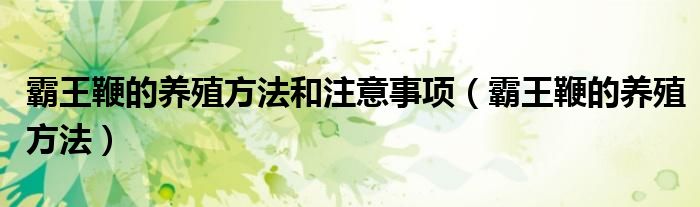 霸王鞭的养殖方法和注意事项（霸王鞭的养殖方法）