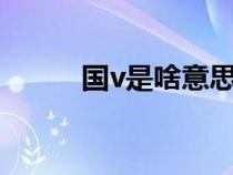 国v是啥意思（国v1是什么意思）