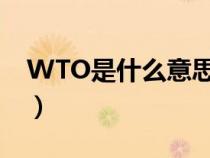 WTO是什么意思英语翻译（wto是什么意思）