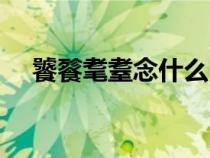饕餮耄耋念什么（三点水一个者念什么）