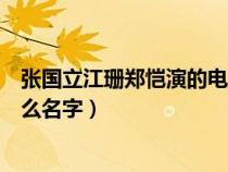 张国立江珊郑恺演的电视剧（张国立与江珊演的电视剧叫什么名字）