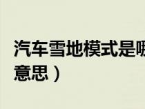 汽车雪地模式是哪个符号（汽车雪地模式什么意思）