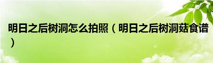 明日之后树洞怎么拍照（明日之后树洞菇食谱）