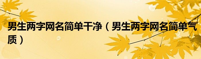 男生两字网名简单干净（男生两字网名简单气质）