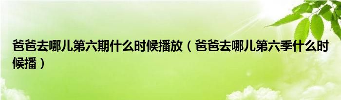 爸爸去哪儿第六期什么时候播放（爸爸去哪儿第六季什么时候播）
