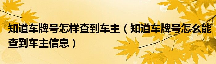 知道车牌号怎样查到车主（知道车牌号怎么能查到车主信息）