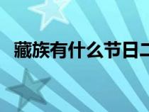 藏族有什么节日二年级（藏族有什么节日）