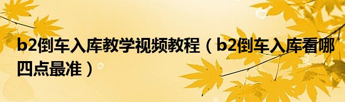 b2倒车入库教学视频教程（b2倒车入库看哪四点最准）