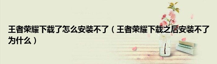王者荣耀下载了怎么安装不了（王者荣耀下载之后安装不了为什么）