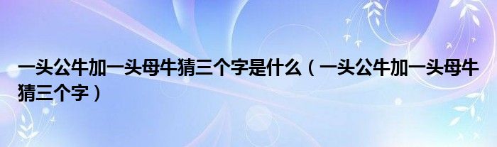 一头公牛加一头母牛猜三个字是什么（一头公牛加一头母牛猜三个字）