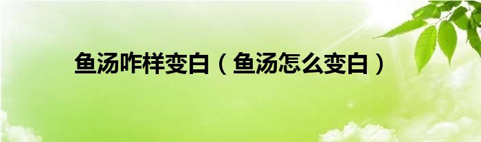 鱼汤咋样变白（鱼汤怎么变白）