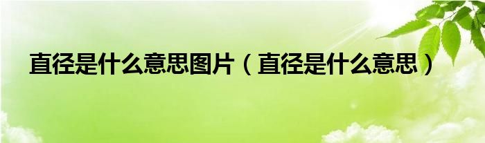 直径是什么意思图片（直径是什么意思）