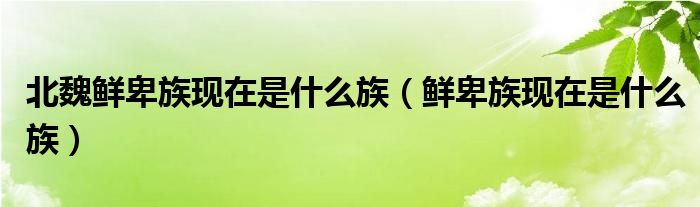 北魏鲜卑族现在是什么族（鲜卑族现在是什么族）