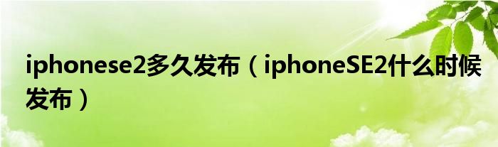 iphonese2多久发布（iphoneSE2什么时候发布）