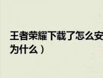 王者荣耀下载了怎么安装不了（王者荣耀下载之后安装不了为什么）