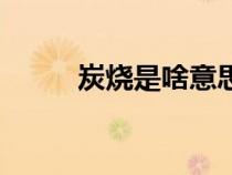 炭烧是啥意思（炭烧是什么意思）