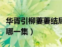 华胥引柳萋萋结局视频（华胥引揭露柳萋萋是哪一集）