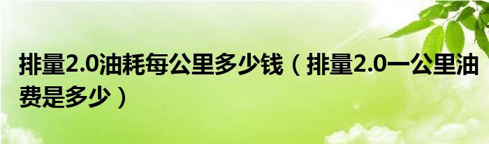 排量2.0油耗每公里多少钱（排量2.0一公里油费是多少）