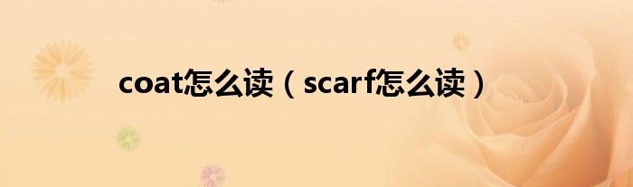 coat怎么读（scarf怎么读）