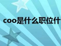 coo是什么职位什么工作（coo是什么职位）