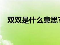 双双是什么意思?（双双叕叕是什么意思）